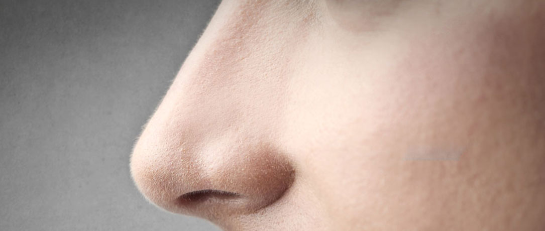 Naso greco: quali sono le forme del naso?